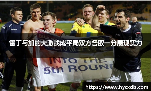 雷丁与加的夫激战成平局双方各取一分展现实力